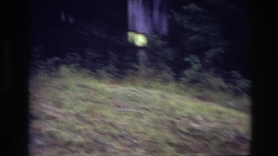 1967 Ottawa 8mm frame showing a soft, blurred view of grass, tree trunks, undergrowth, and a small pale sign.