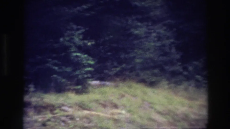 1967 Ottawa 8mm frame showing a dim wooded edge, grassy foreground, brush, and a faint opening in the trail area.