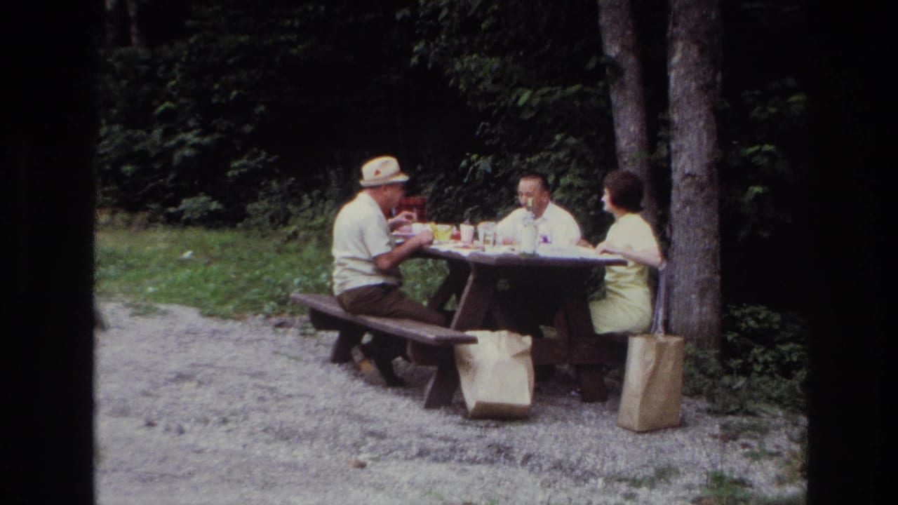 Adults continue eating at the picnic table as the wooded setting and gravel clearing become more visible.
