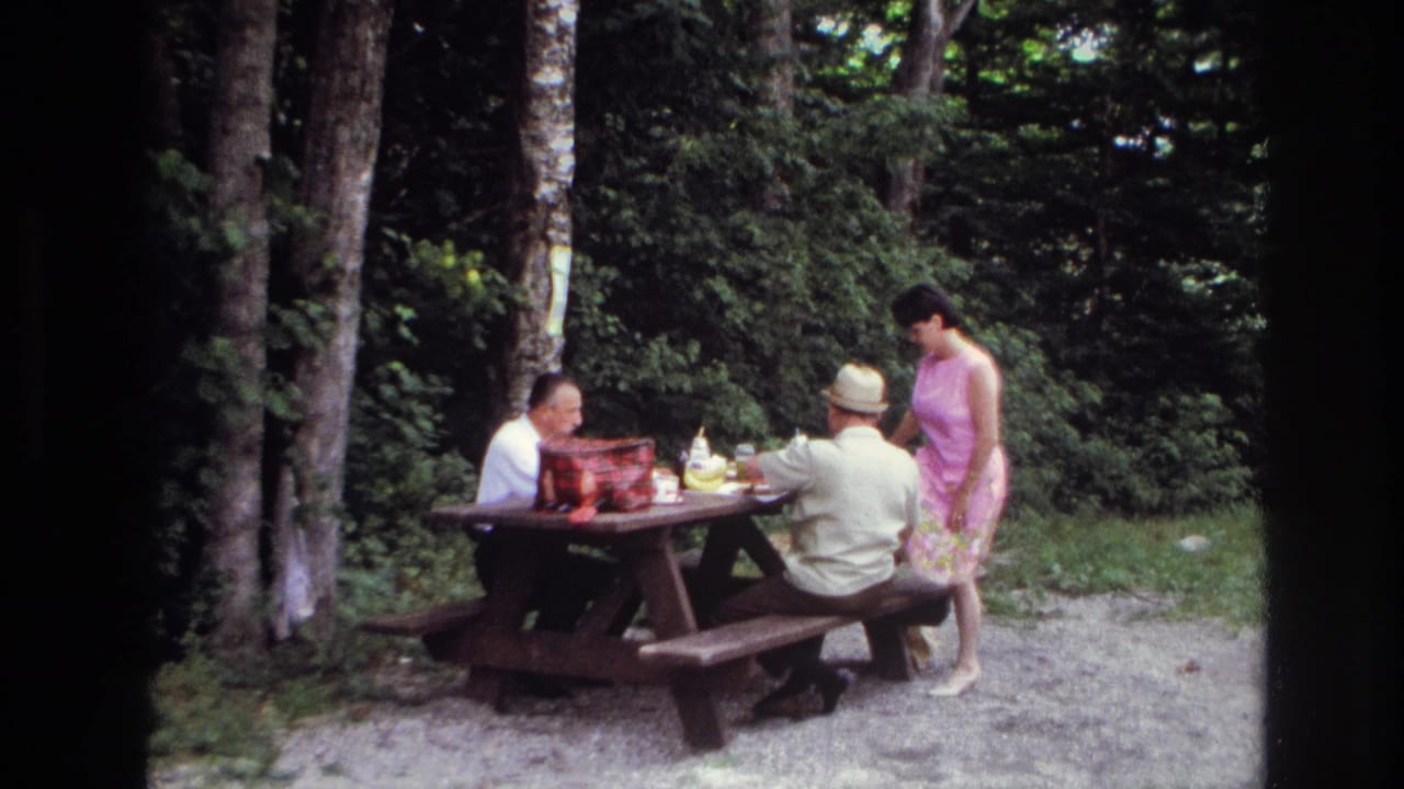 The woman in the pink dress pauses beside the picnic table with two men seated nearby, surrounded by trees and campground gravel.