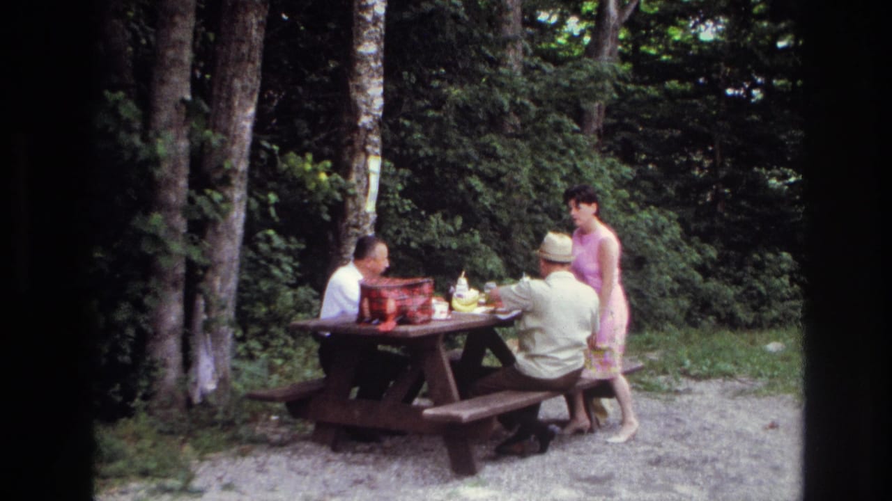 Two seated men and a standing woman gather around a picnic table in the woods.