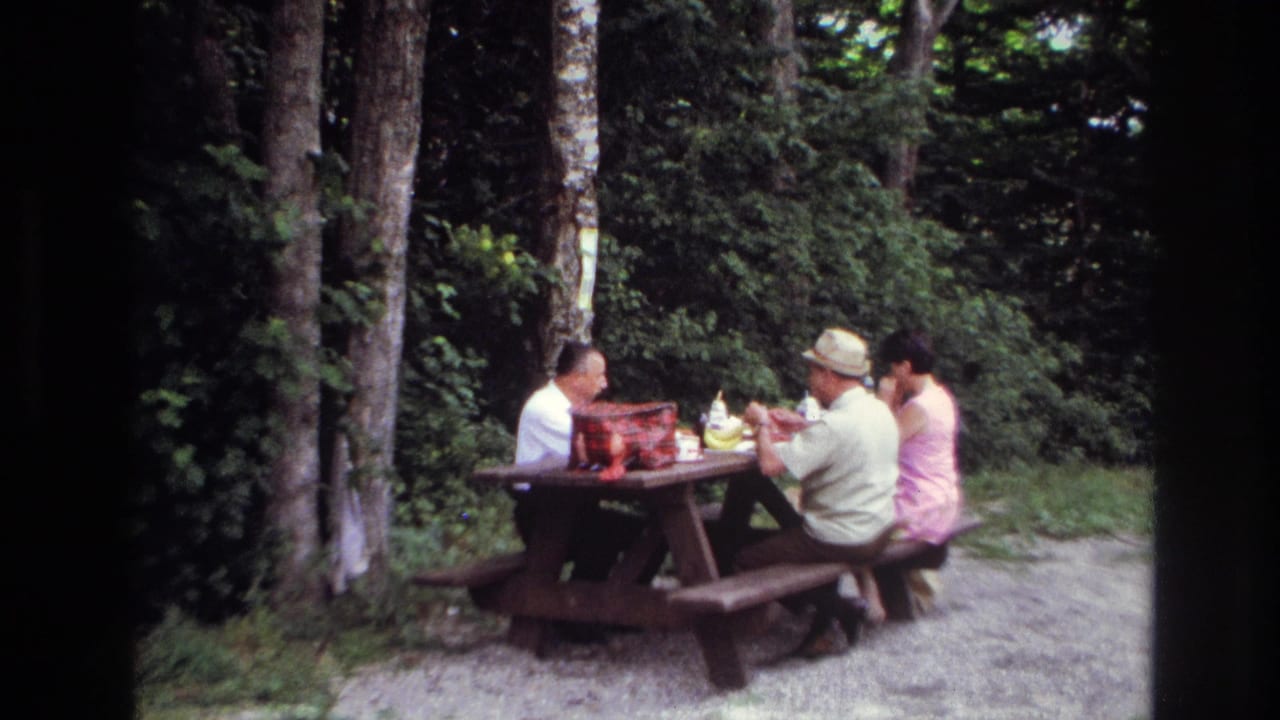 Two men and one woman sit at a wooded picnic bench with a red plaid basket and bottles on the tabletop.