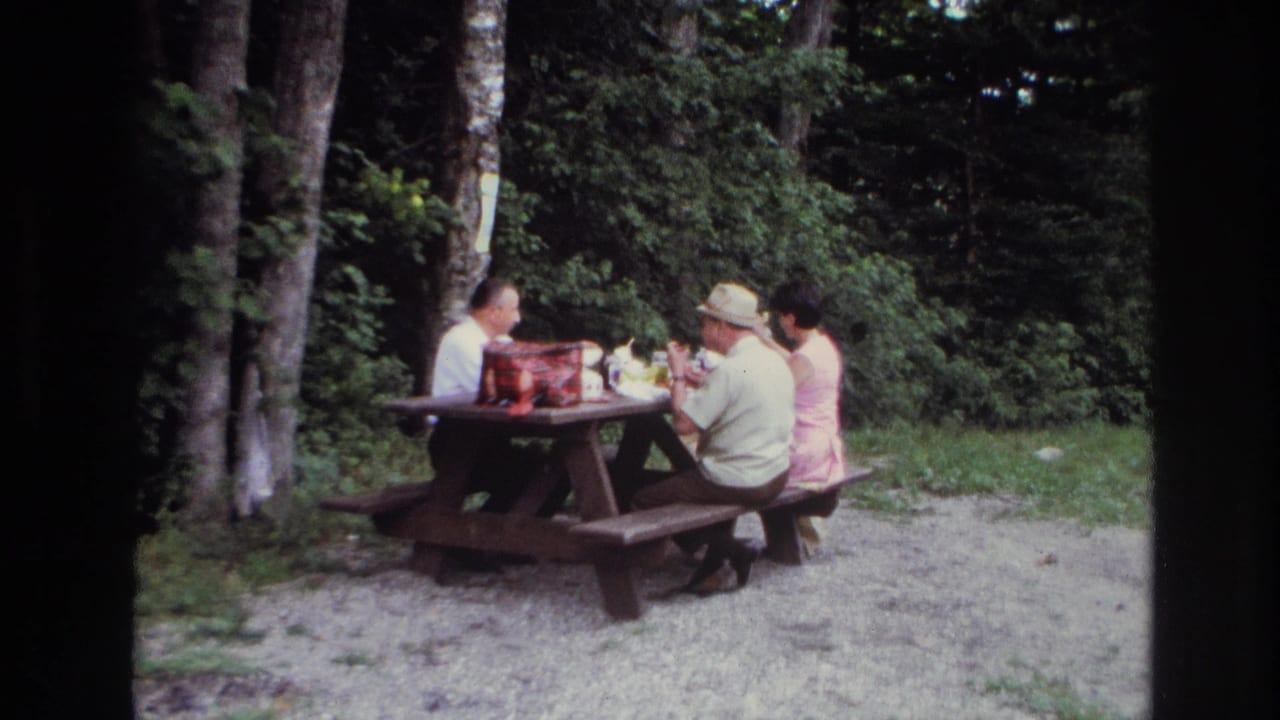 Adults sit around a picnic table with a red bag and food items.