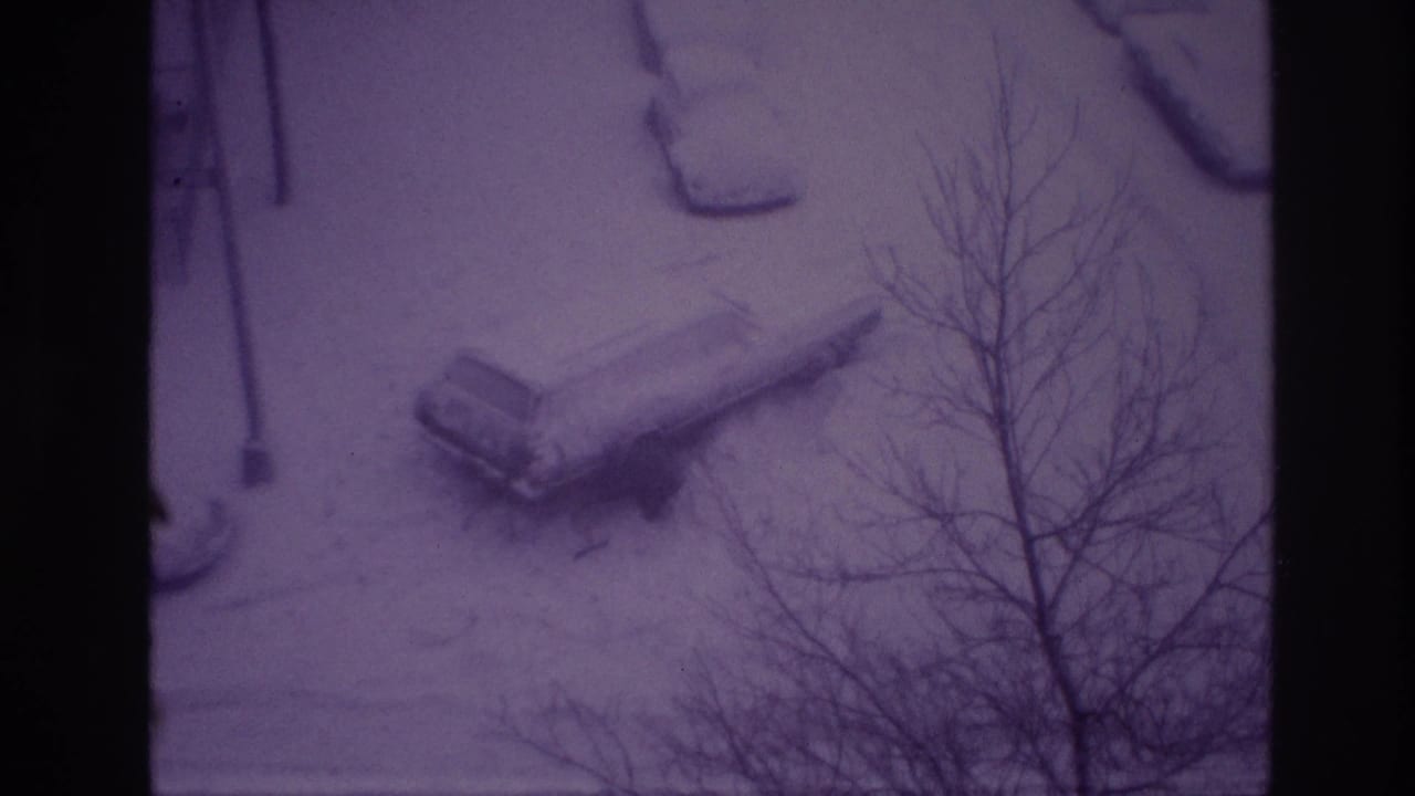 Snowy view of a parked car, bare tree, and nearby street edge.