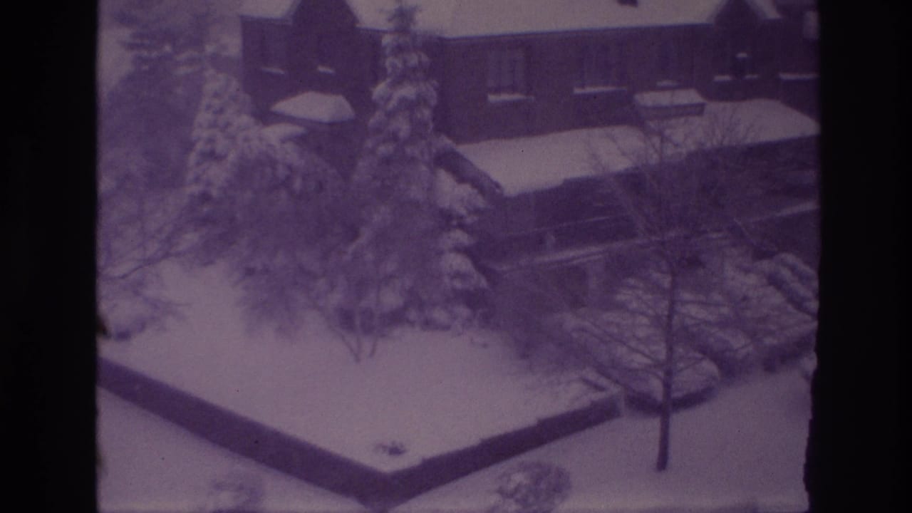 Snowy neighborhood exterior with house facade, evergreens, bare branches, and parked cars.