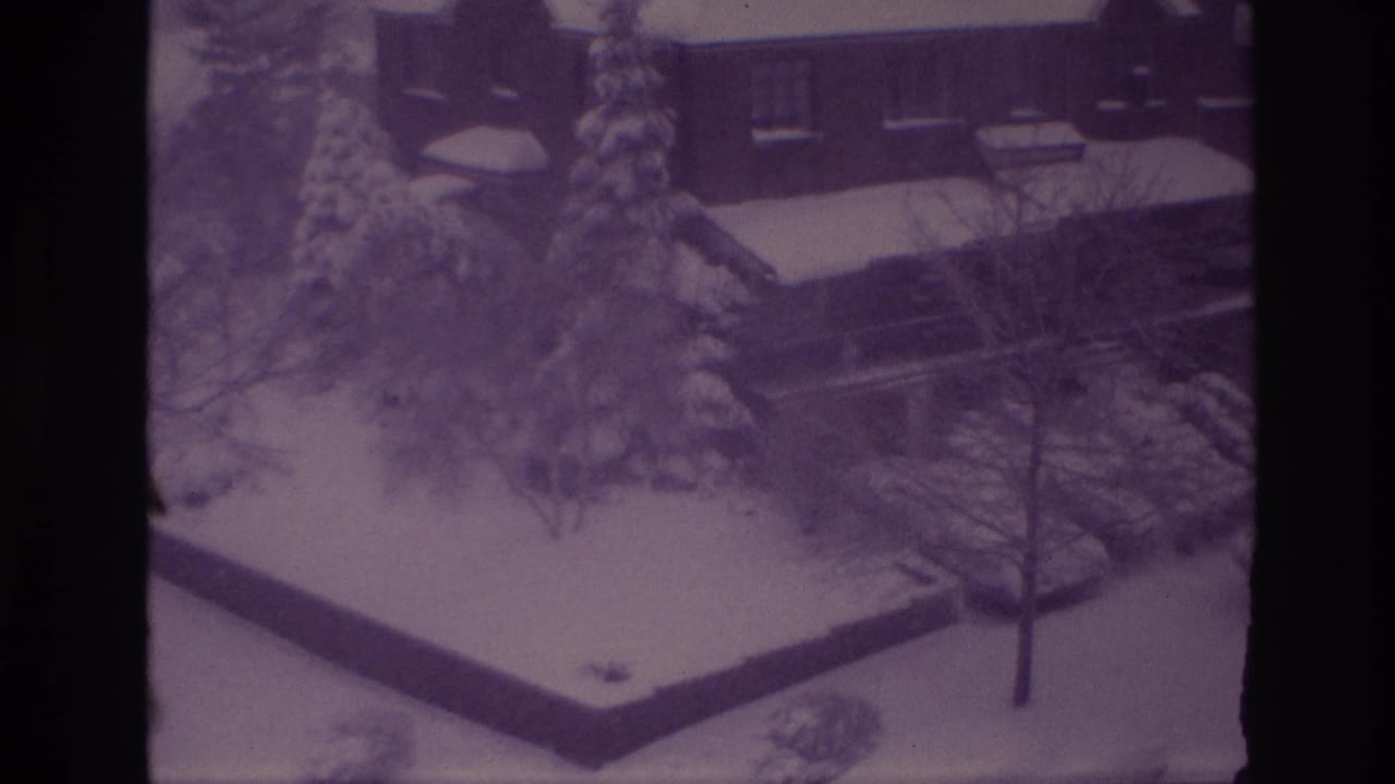 1967 Ottawa home-movie view of a snowy residential yard with evergreens, a bare tree, walkway, and brick building.