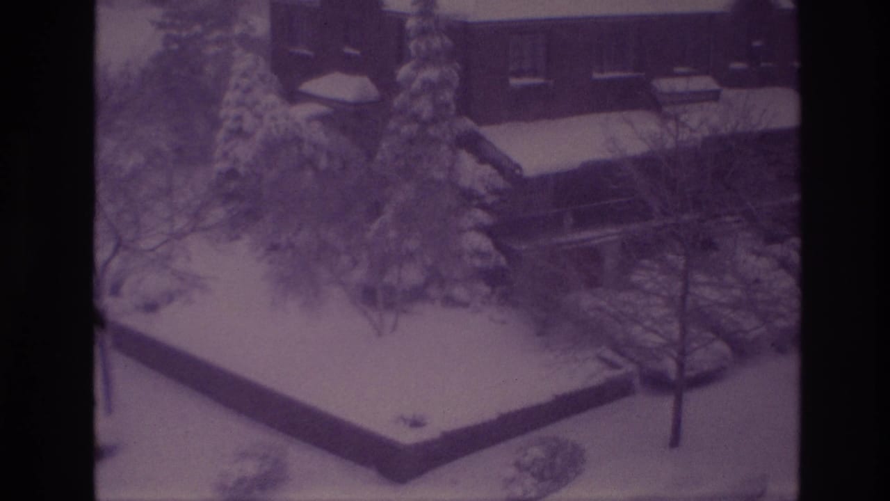1967 Ottawa frame with a snow-covered residential exterior, evergreen trees, bare branches, walkway, and parked cars.