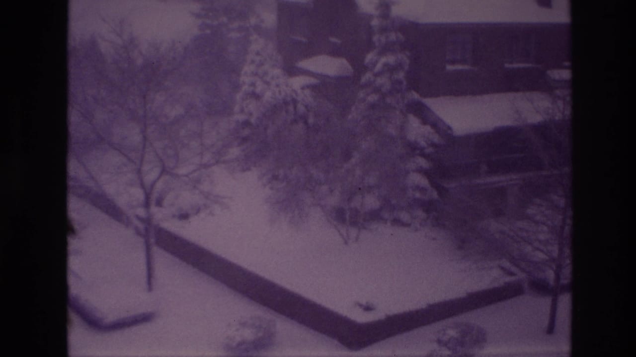 Snowy yard with bare trees, evergreen branches, a wall, and a house roof in the background.