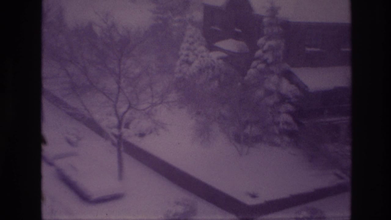 1967 Ottawa home-movie view of a snow-covered yard with a bare tree, evergreens, low boundary wall, and residential exterior.