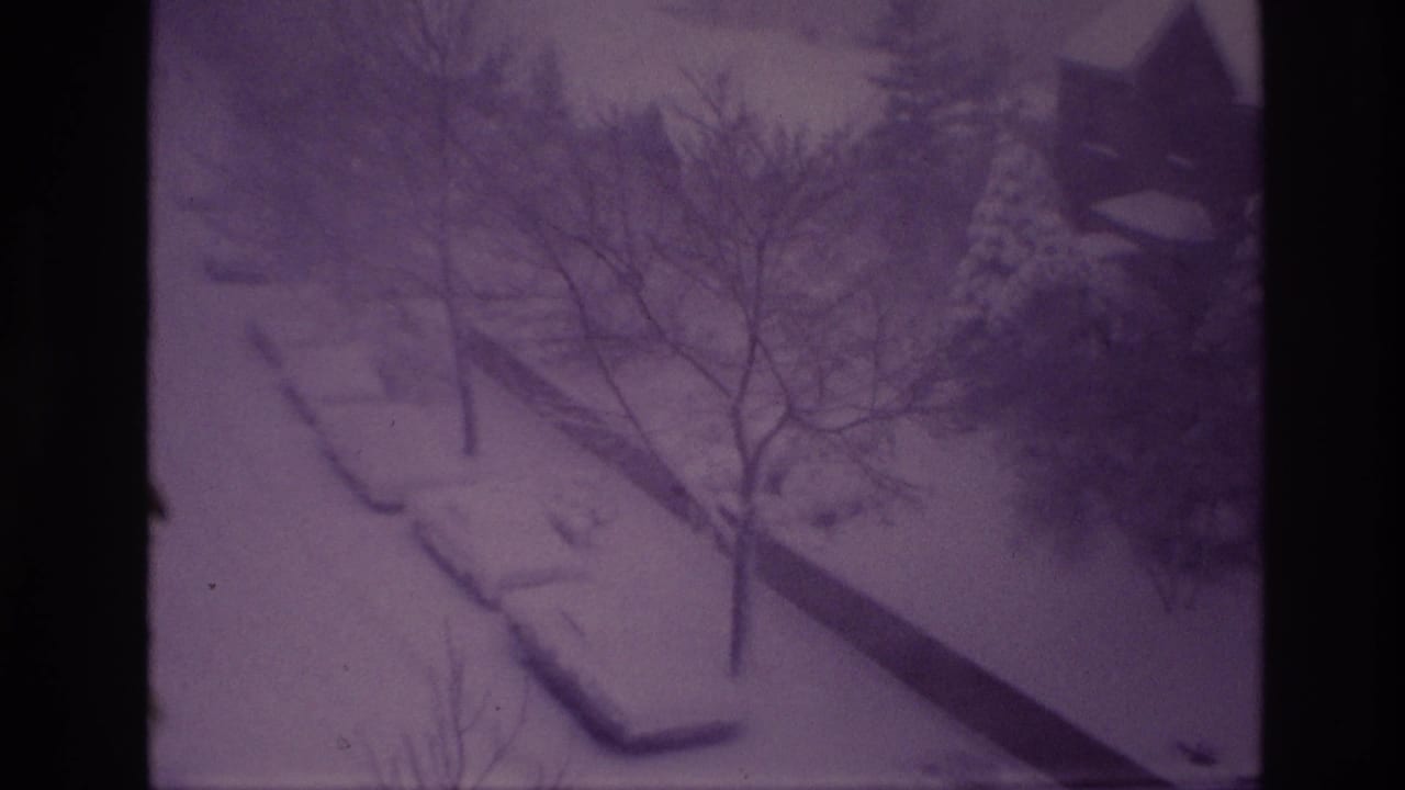 High-angle 1967 Ottawa view of dense snow over parked cars, bare branches, evergreens, and a partially visible house.