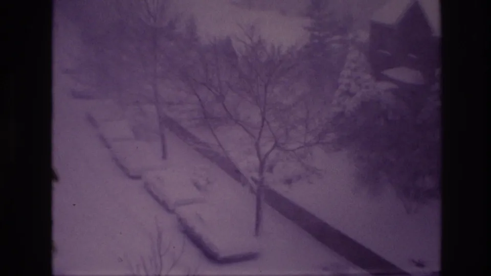 High-angle 1967 Ottawa view of dense snow over parked cars, bare branches, evergreens, and a partially visible house.
