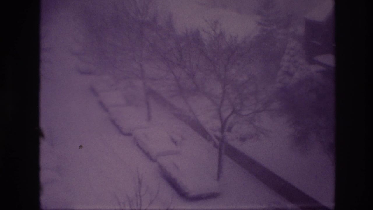 1967 Ottawa snowstorm frame with purple 8mm color shift, showing parked cars, bare trees, and a snow-blanketed residential street.