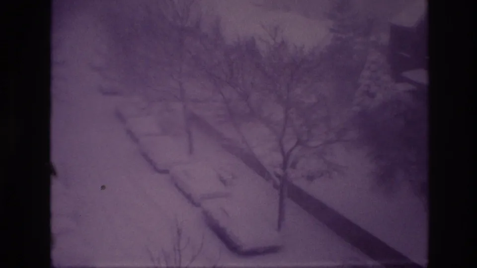 1967 Ottawa snowstorm frame with purple 8mm color shift, showing parked cars, bare trees, and a snow-blanketed residential street.