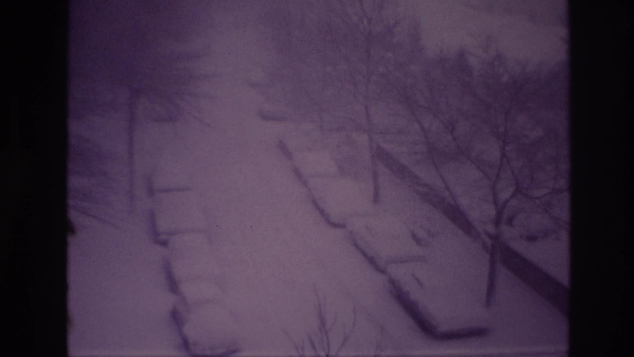 Snow-covered roadside with parked cars almost hidden beneath deep snow and leafless trees.