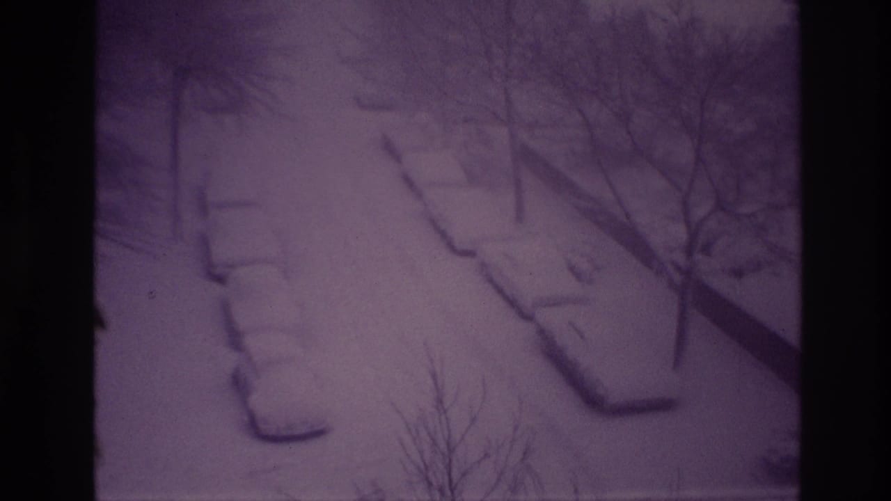 1967 Ottawa home-movie view of a winter street where snow blankets parked cars, curbs, and foreground tree branches.