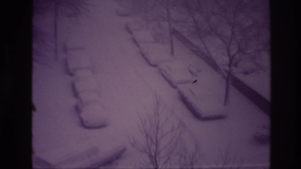 1967 Ottawa 8mm frame showing a quiet snowbound road edge with buried parked cars, bare trees, and aged purple film coloration.