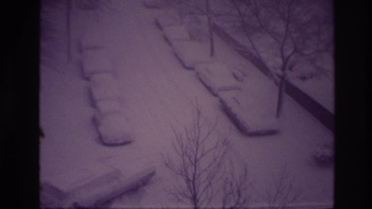 Elevated Ottawa winter view from 1967 showing snow-covered parked cars and bare tree branches in soft purple 8mm color.
