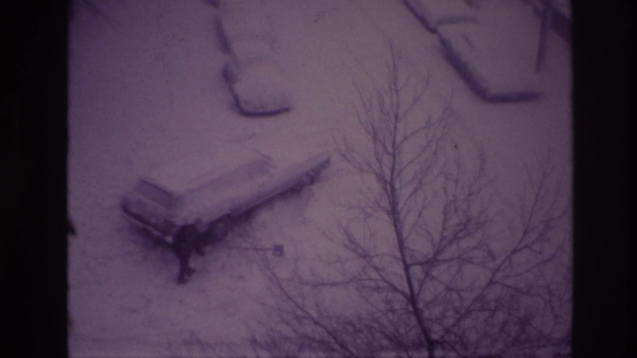 Elevated view of a snowy driveway with a person beside a car and bare trees in the foreground.