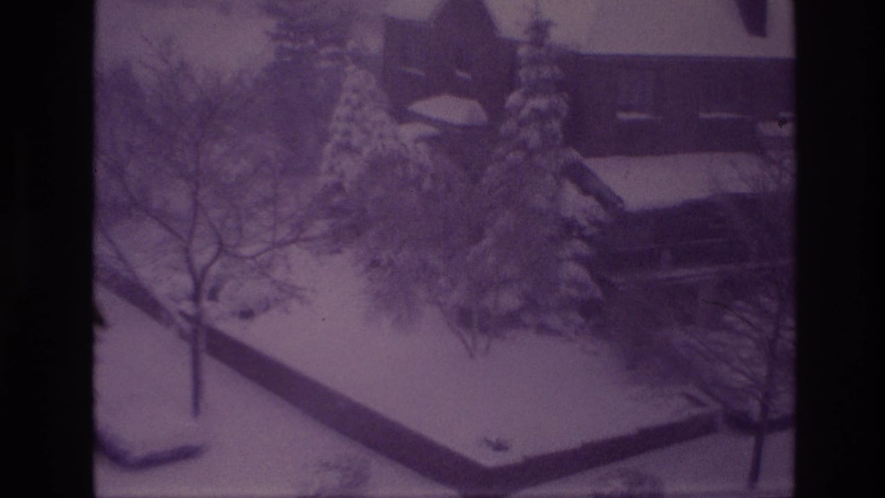 1967 Ottawa home-movie frame showing a snowy residential yard with evergreens, bare trees, and a house beyond the snow.