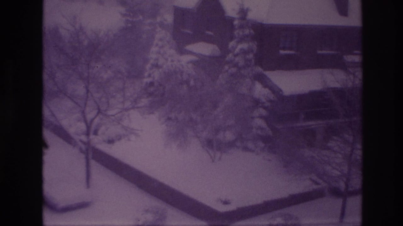 Ottawa winter yard in a purple-tinted 8mm frame, with heavy snow on evergreens and a house visible behind them.