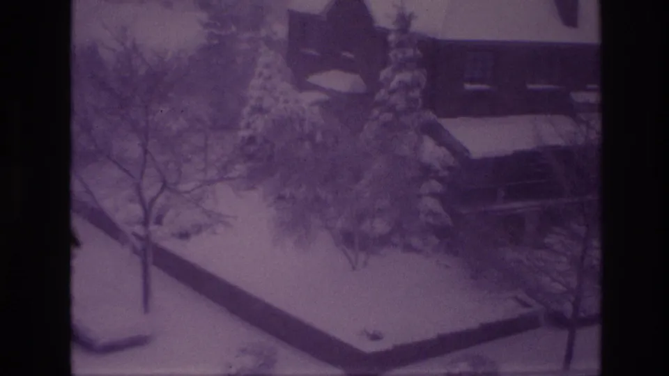 Ottawa winter yard in a purple-tinted 8mm frame, with heavy snow on evergreens and a house visible behind them.