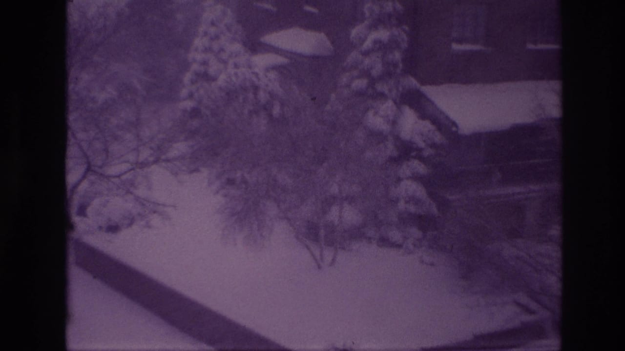 Purple-shifted 8mm frame from Ottawa in 1967 showing a snowy yard, evergreen trees, bare branches, and a residential exterior.