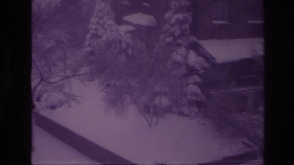 Purple-shifted 8mm frame from Ottawa in 1967 showing a snowy yard, evergreen trees, bare branches, and a residential exterior.