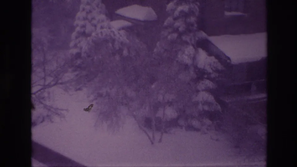 1967 Ottawa home-movie frame of a snowy residential yard with heavy snow on evergreens and a house partly visible beyond them.
