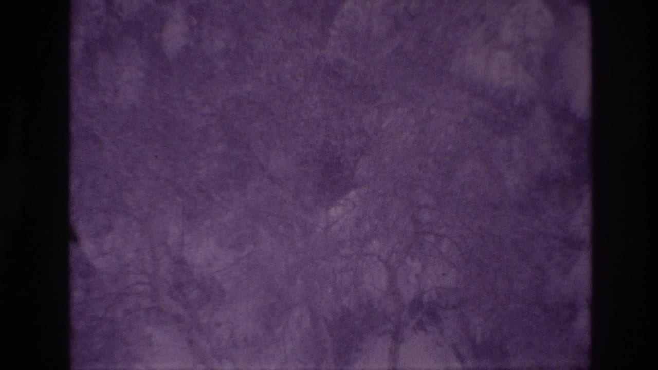Faded 1967 Ottawa winter frame showing a snow-filled yard and tree shapes softened by grain, tint, and exposure.