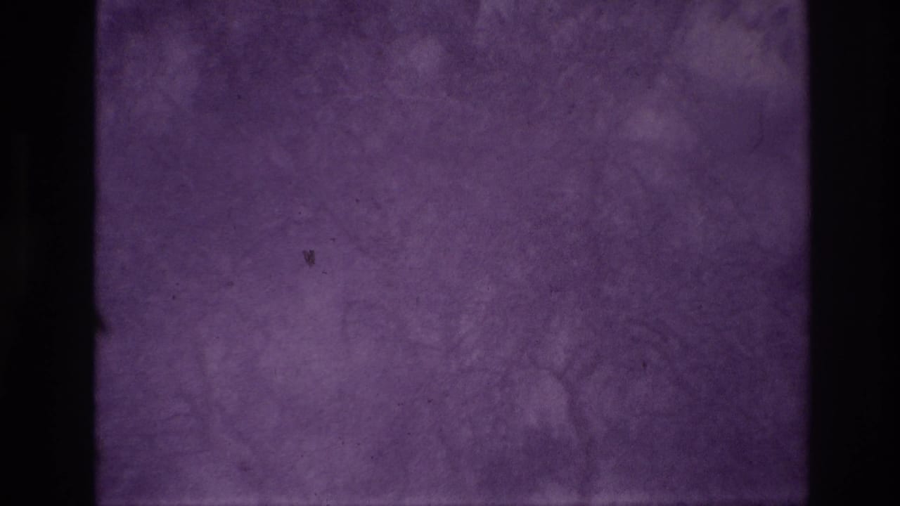 Static Ottawa winter home-movie frame with snow-covered trees, deep yard snow, and visible scratches from the aged 8mm scan.