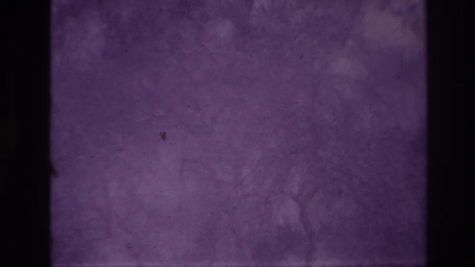 Static Ottawa winter home-movie frame with snow-covered trees, deep yard snow, and visible scratches from the aged 8mm scan.