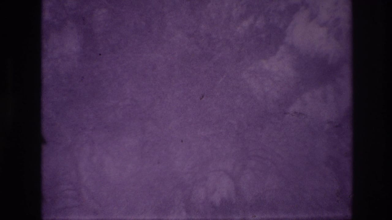 Purple-tinted 8mm frame with dark film borders, mottled exposure, and no distinct subject visible.