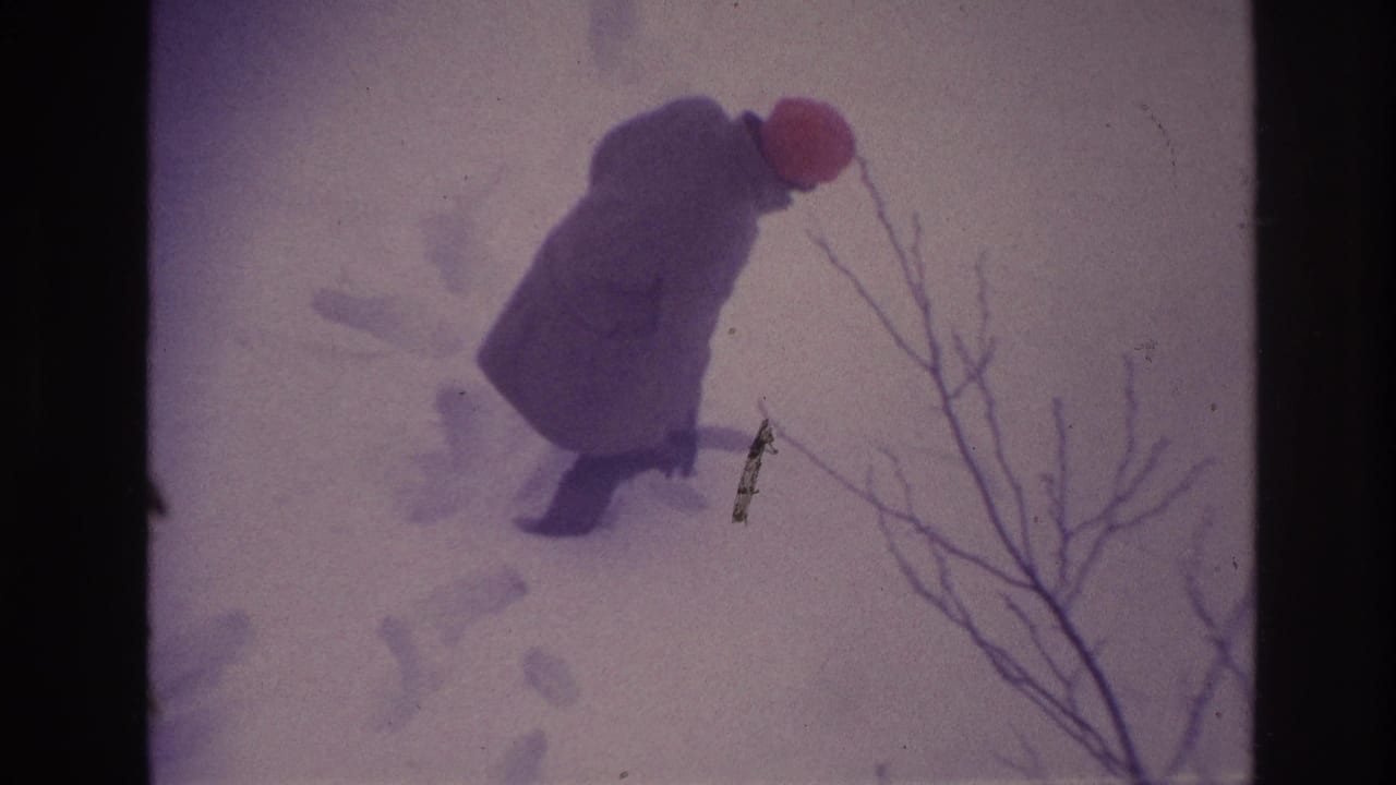 A bundled person in a red hat walks through deep Ottawa snow, with bare branches crossing the foreground.