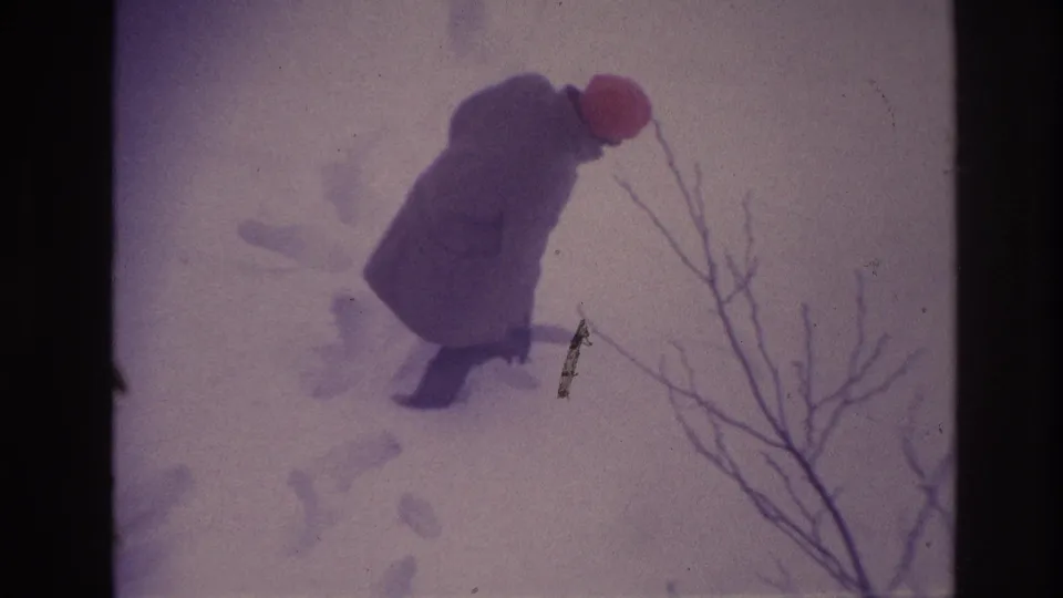 A bundled person in a red hat walks through deep Ottawa snow, with bare branches crossing the foreground.