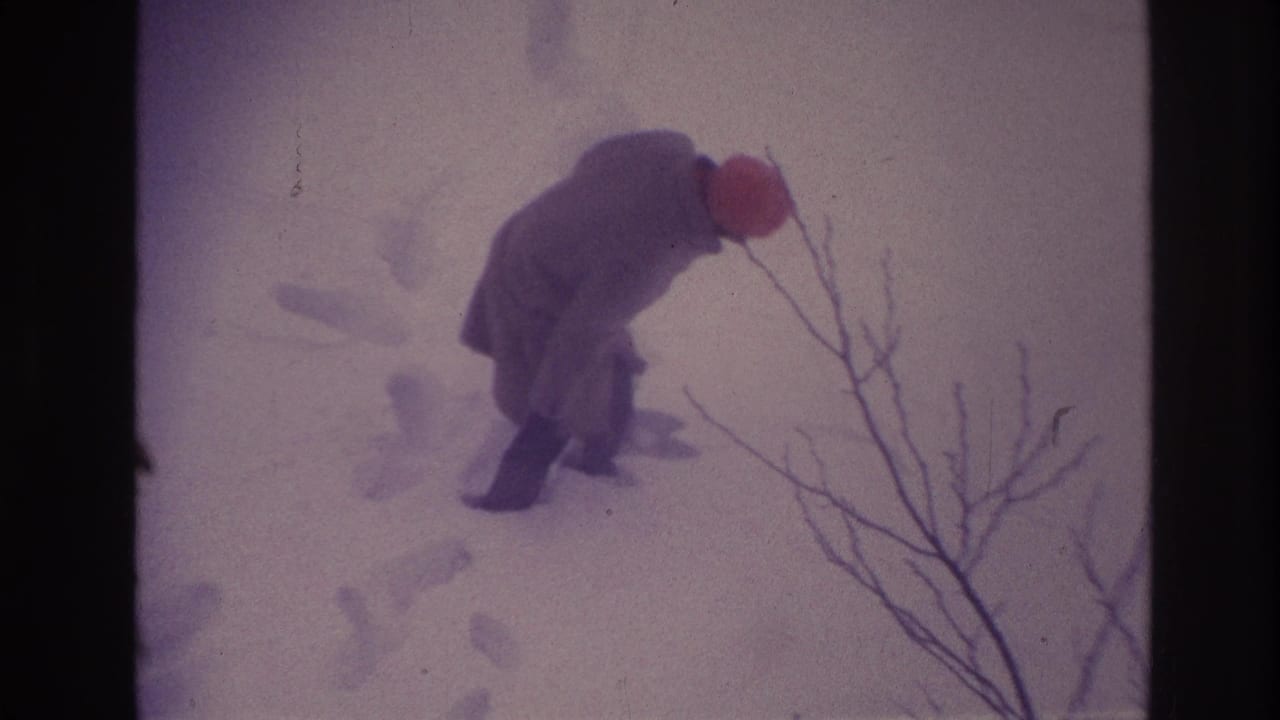 In metadata-supported Ottawa, 1967, an older woman in a long coat and bright hat bends toward deep snow beside bare branches.