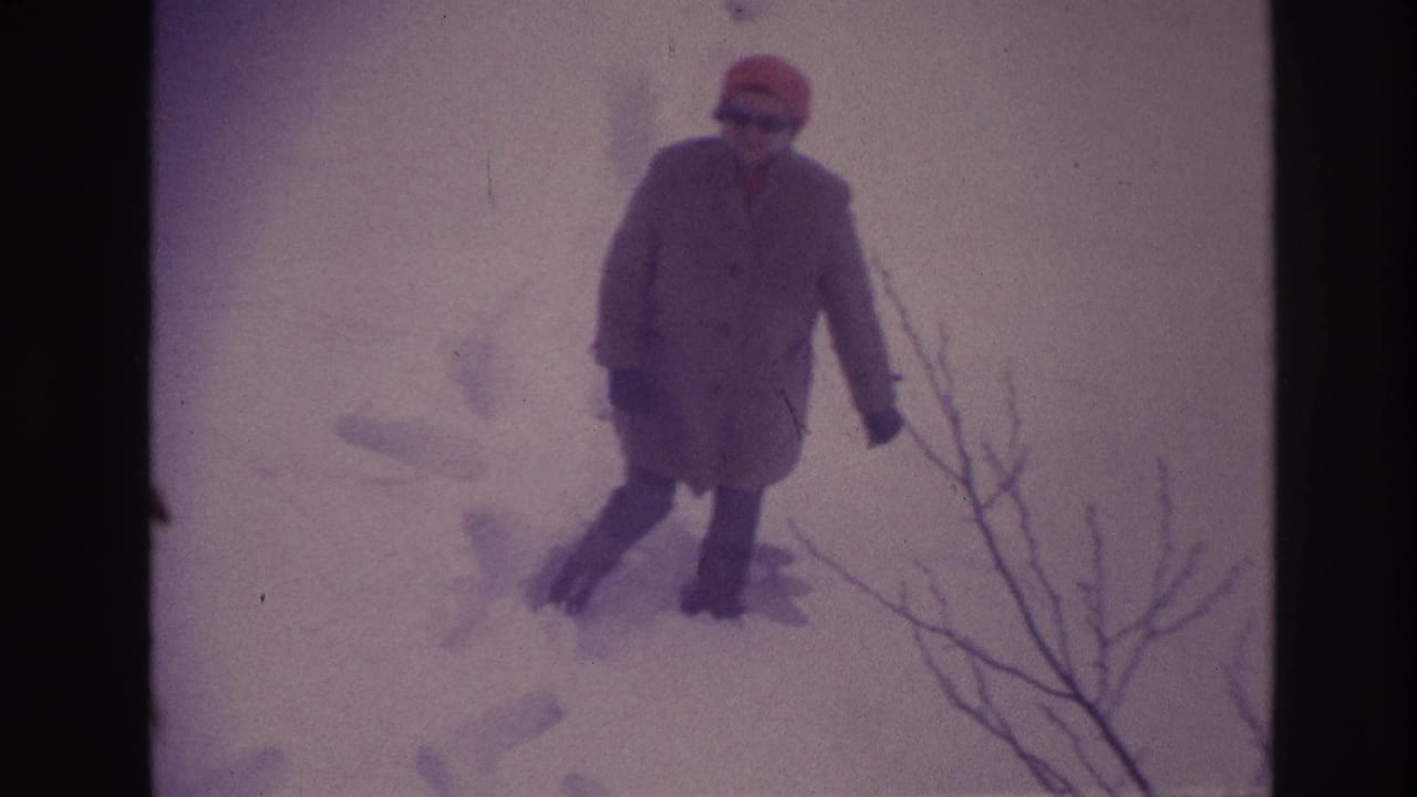 The older woman moves through the snowy Ottawa scene, her long coat and bright hat visible against the pale snow.