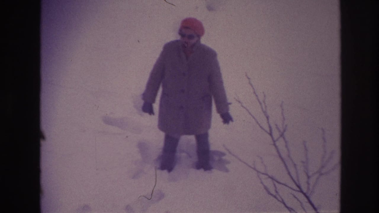 In metadata-supported Ottawa, 1967, a woman in a long coat and red hat stands in deep snow beside bare winter branches.