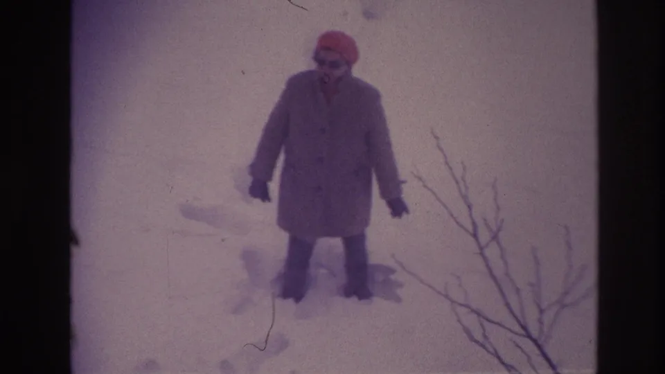 In metadata-supported Ottawa, 1967, a woman in a long coat and red hat stands in deep snow beside bare winter branches.