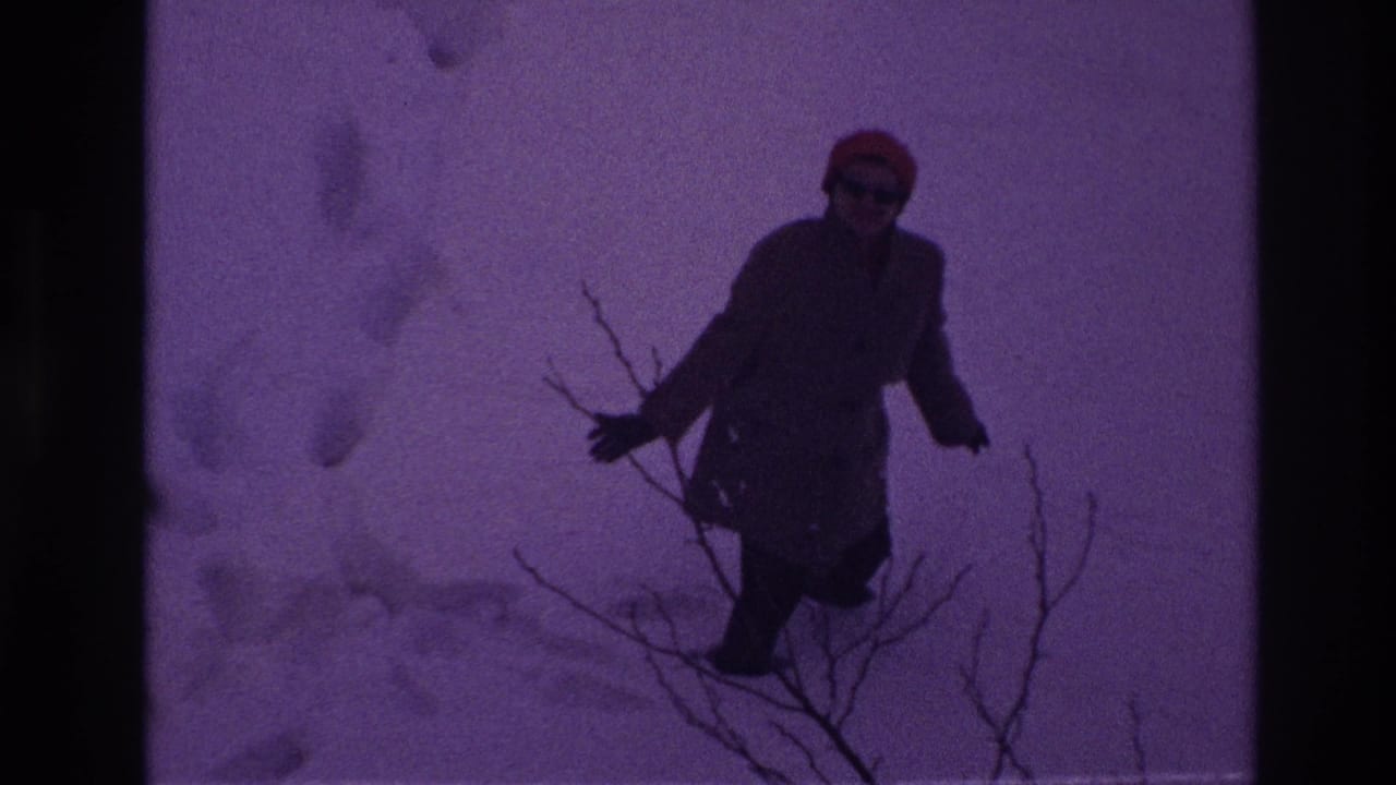 A woman in a long coat and red hat stands near bare branches in deep Ottawa snow, with footprints visible behind her.