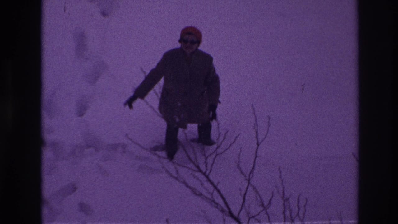 Person in winter clothing moving through snow beside thin bare branches.