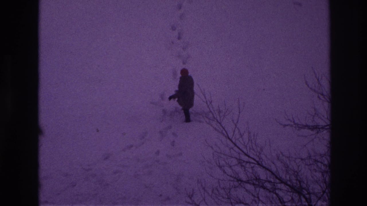 A distant bundled person walks across deep snow in Ottawa, with a trail of footprints and bare branches framing the lower edge.