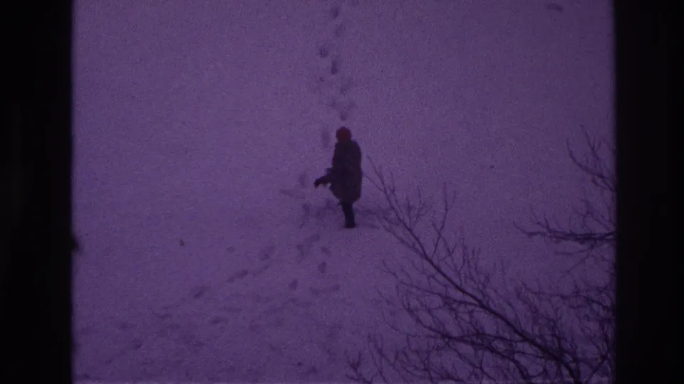 A distant bundled person walks across deep snow in Ottawa, with a trail of footprints and bare branches framing the lower edge.