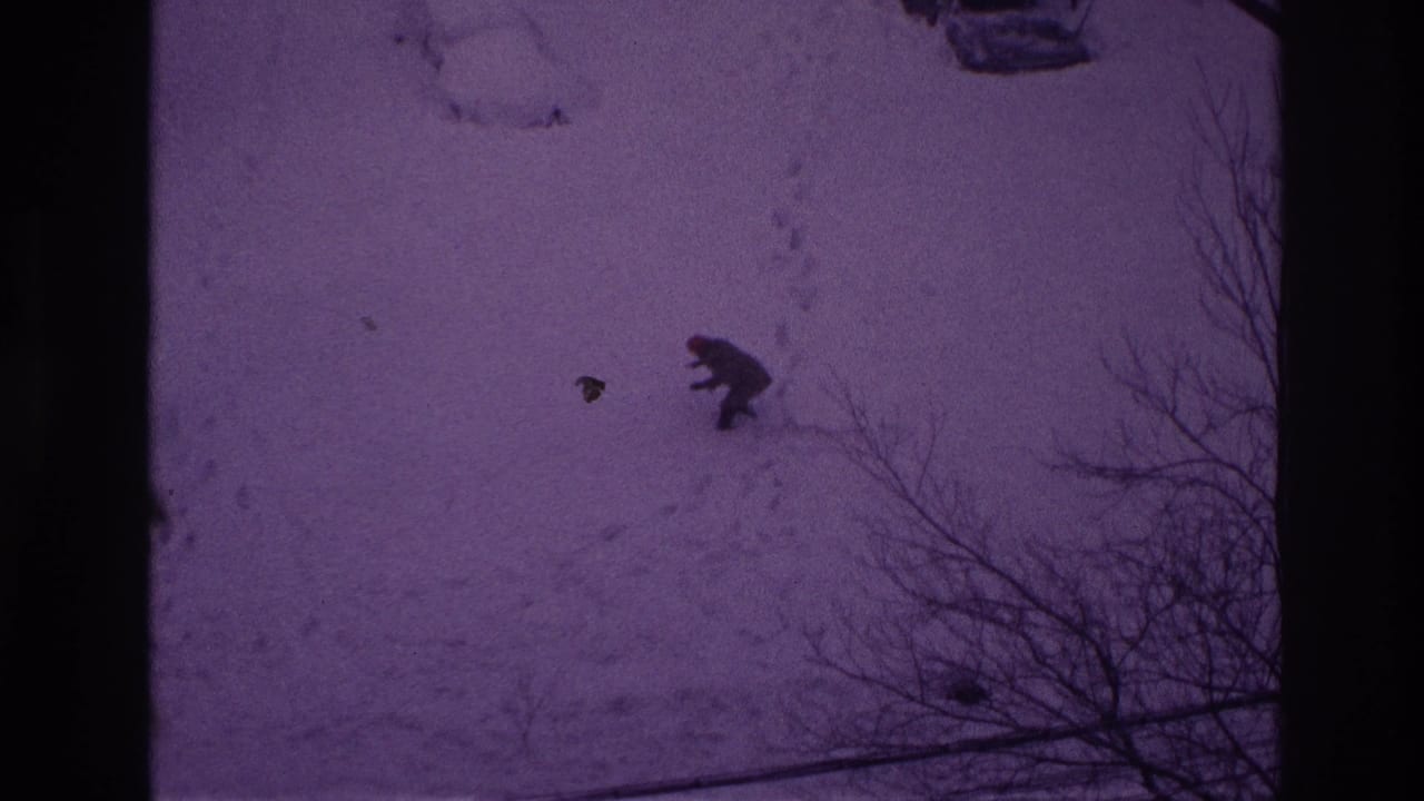 The man appears partly crouched or slowed in the snowy Ottawa yard, with bare branches at the right edge.