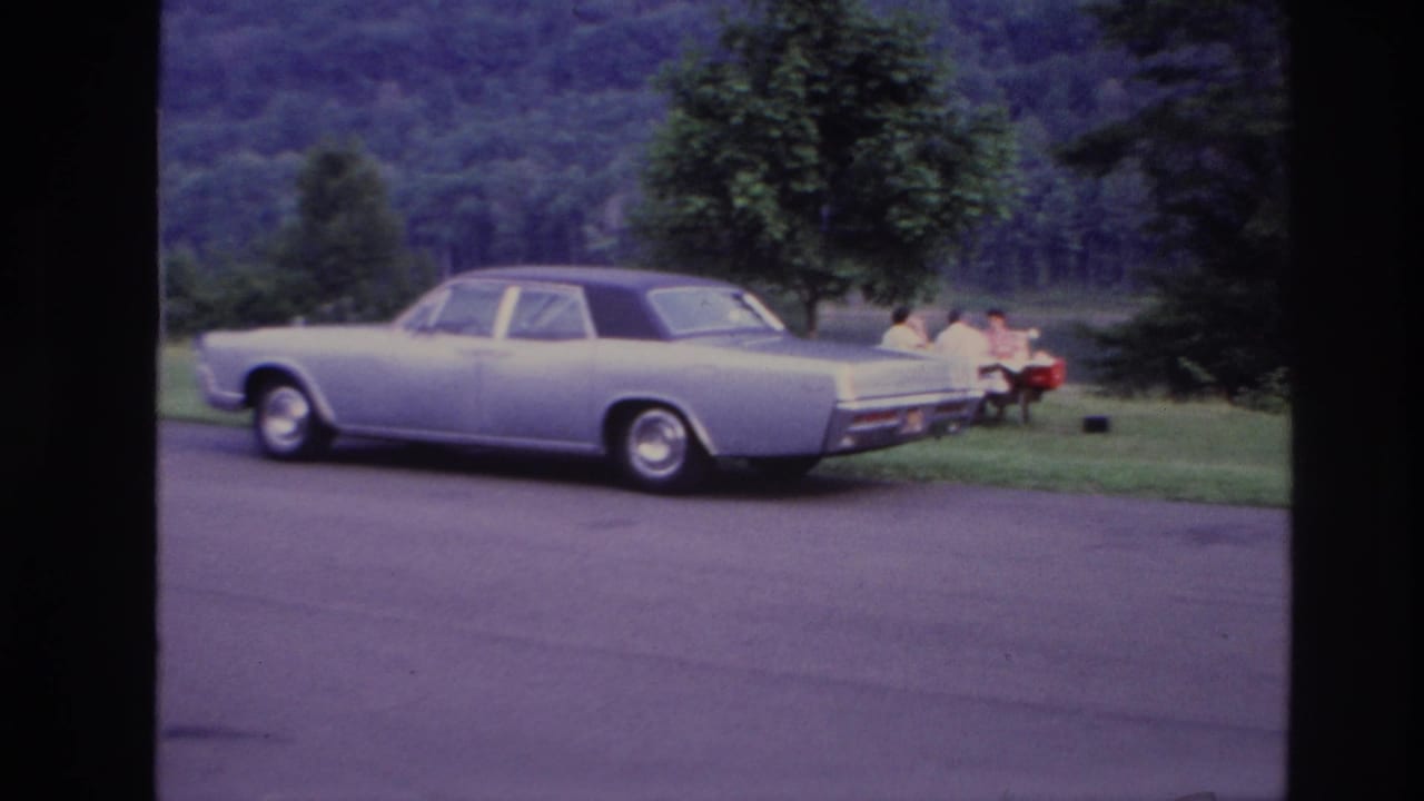 Pale sedan parked beside grass where people sit at a picnic table near a lake.