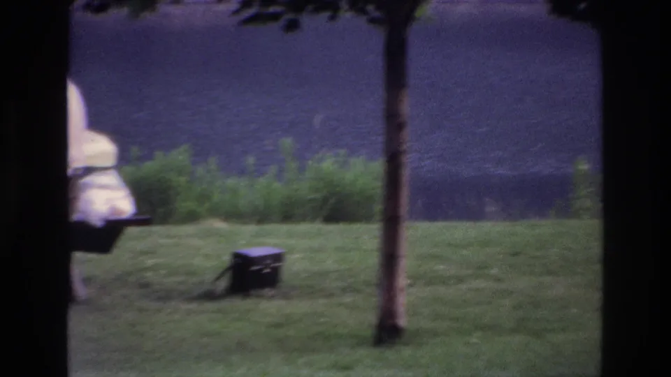 1967 Ottawa home-movie frame of a grassy lakeside area after the picnic group moves out of view, with a tree and small dark box visible.