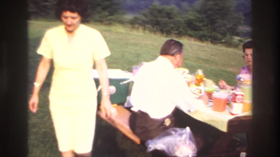 Adults gather around a picnic table on a grassy lakeside area as a woman in a light outfit walks through the frame.