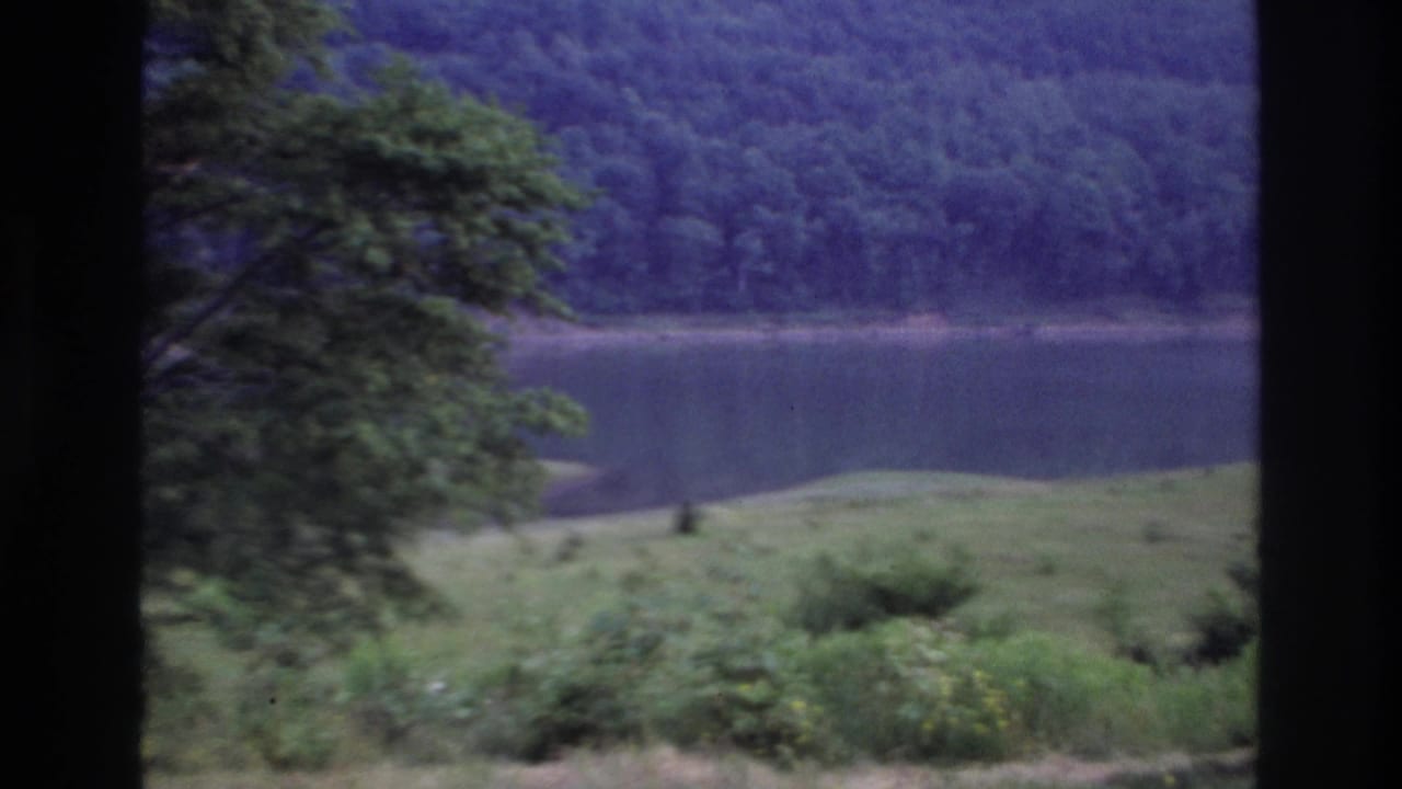 Lake, grassy shoreline, tree, and wooded hill framed by dark vertical edges.