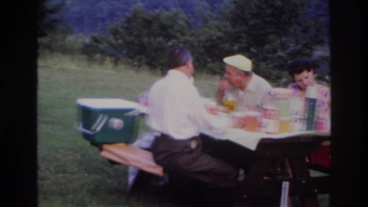 Three adults continue a picnic lunch outdoors in Ottawa, with a green cooler, red cooler, thermoses, and a wooded background visible.