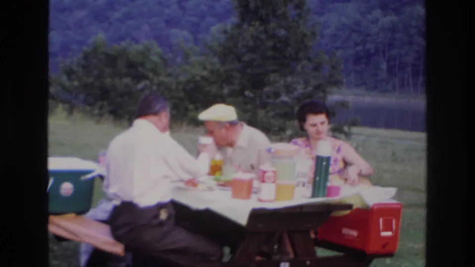 The final frame shows the three-person picnic in Ottawa with seated adults, coolers, thermoses, grass, trees, and water in the distance.