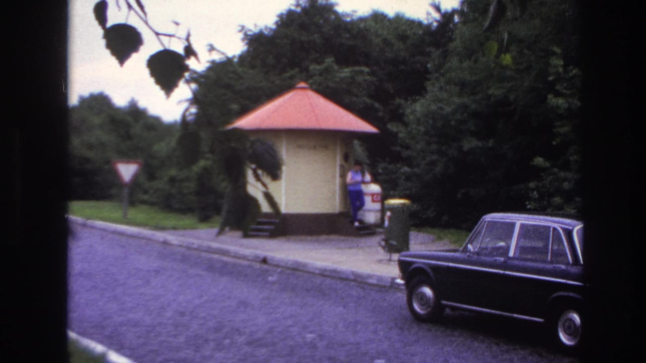 Woman near a small kiosk as a dark sedan sits along the curb under trees.